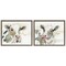 Stupell Industries Watercolor Holstein Farm Cows 2 pc Framed Floater Canvas Wall Art Set Design by Victoria Barnes